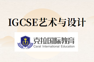 IGCSEƿݽ