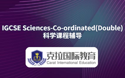 IGCSE Sciences-Co-ordinated(Double)ѧ0654Ը