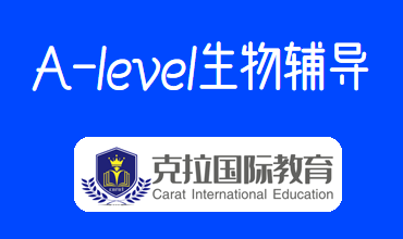 alevel￼ԼԾ