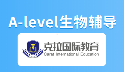 A-level￼ͽ