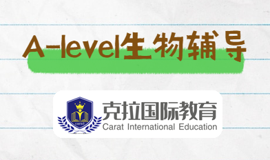 alevel￼Դܽ