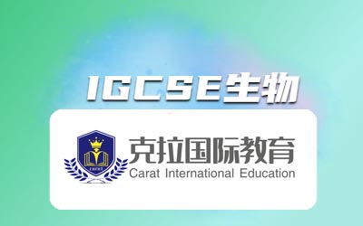 igcse￼Щ