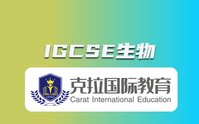 ѧIGCSE