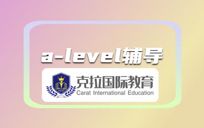 ôѧA-levelӢѧ