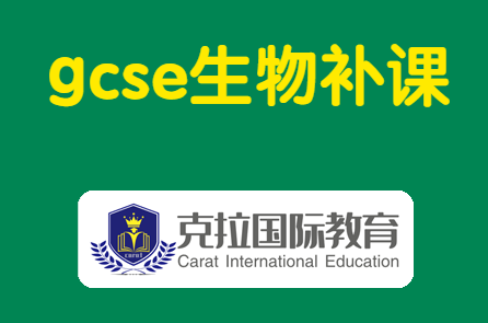 gcseصʻܽ