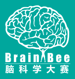  | ԿѧBrain Bee