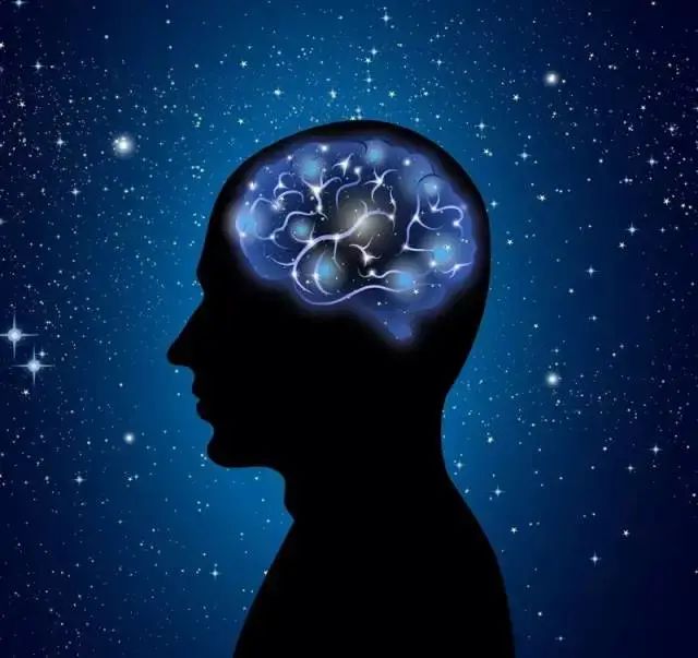  | ԿѧBrain Bee