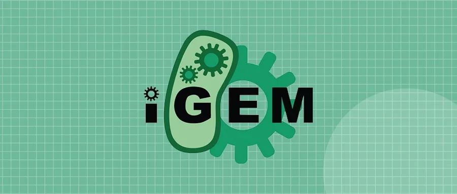  | iGEMŴ̻