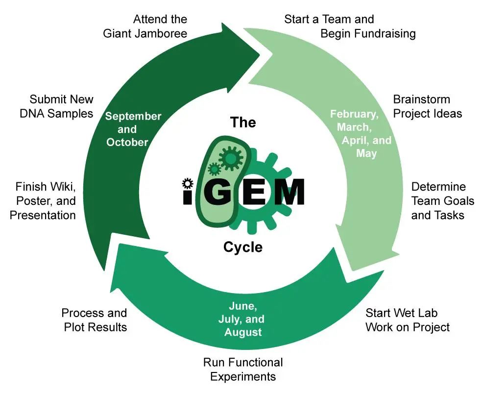 | iGEMŴ̻