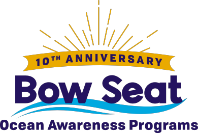 Bow Seat ʶ
